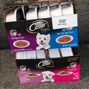 Cesar wet dog food - variety - 20